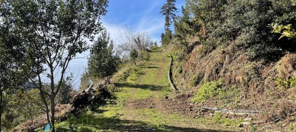  قطعة أرض في Funchal, Portugal 129730متر مربع رقم 65428 2