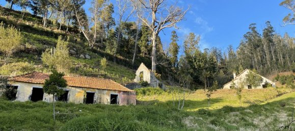  قطعة أرض في Funchal, Portugal 129730متر مربع رقم 65428 7