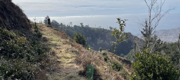  قطعة أرض في Funchal, Portugal 129730متر مربع رقم 65428 6