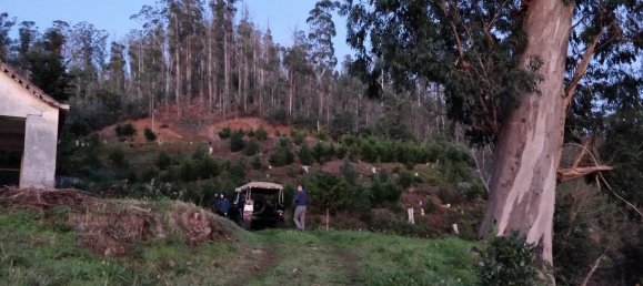  قطعة أرض في Funchal, Portugal 129730متر مربع رقم 65428 3