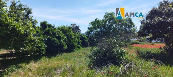 3 chambres Maison à Barbate, Spain No. 147902 8