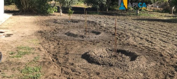 3 chambres Maison à Barbate, Spain No. 147902 6