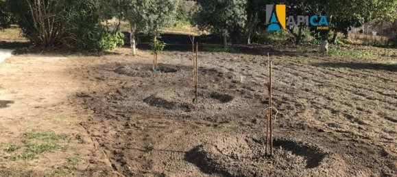 3 chambres Maison à Barbate, Spain No. 147902 2