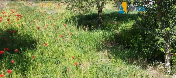 3 chambres Maison à Barbate, Spain No. 147902 3