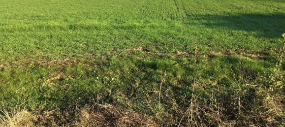 Casa de 6 habitaciónes en Carpi, Italy No. 235172 5