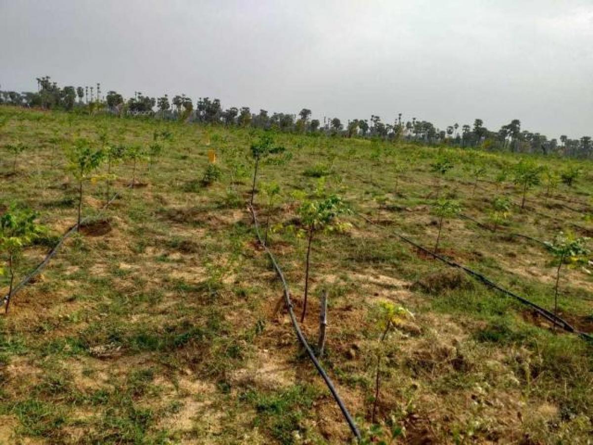 Terrain à Visakhapatnam, India No. 34784