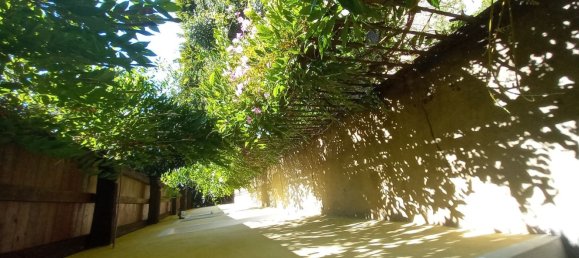 13 bedrooms House in Castelletto sopra Ticino, Italy No. 362554 44