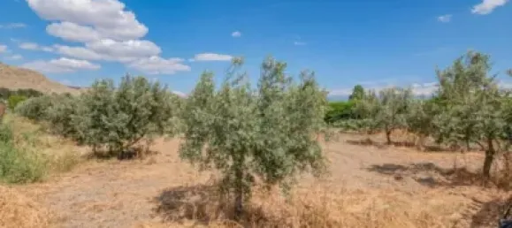 2 bedrooms House in Pinos Puente, Spain No. 137359 32