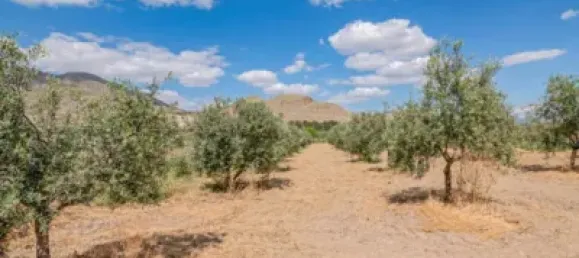 2 bedrooms House in Pinos Puente, Spain No. 137359 31