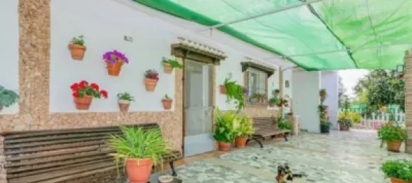 2 bedrooms House in Pinos Puente, Spain No. 137359 19