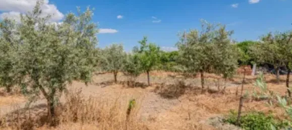 2 bedrooms House in Pinos Puente, Spain No. 137359 30