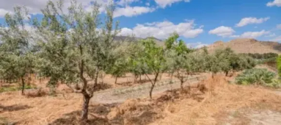 2 bedrooms House in Pinos Puente, Spain No. 137359 23