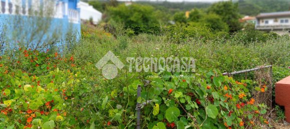 Terreno en Tenerife, Spain No. 134827 12