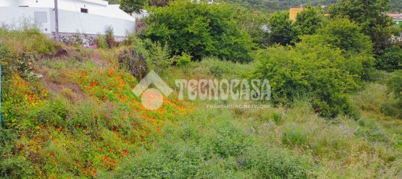 Terreno en Tenerife, Spain No. 134827 13
