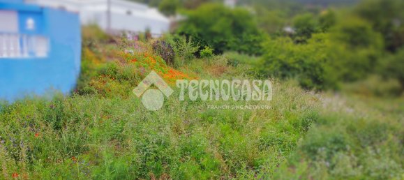 Terreno en Tenerife, Spain No. 134827 15