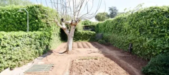 Casa T7 em Vila-real, Spain N.º 37699 39