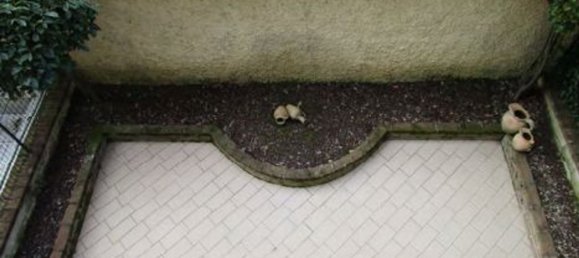 Casa de 3 divisões em Vermezzo con Zelo, Italy N.º 89589 15