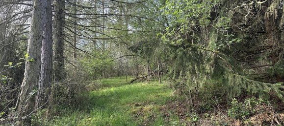 Casa de 6 divisões em Werra-Meisner, Germany N.º 208096 12