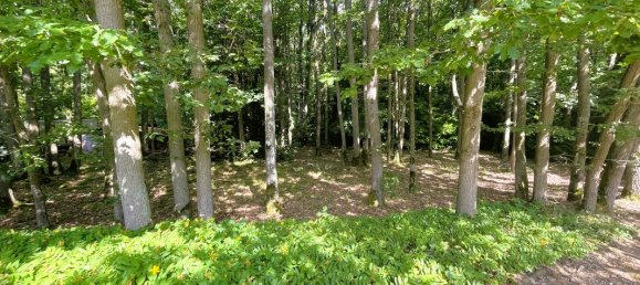 6 chambres Maison à Nogent-le-Phaye, France No. 79326 16