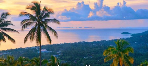 Commercial property in Ko Samui, Thailand No. 24259 3