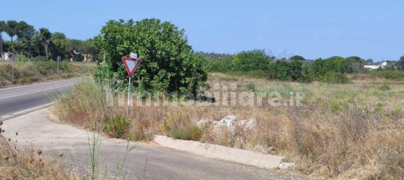 Terrain à Zollino, Italy 23517m² No. 269999 3