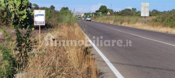 Terrain à Zollino, Italy 23517m² No. 269999 6