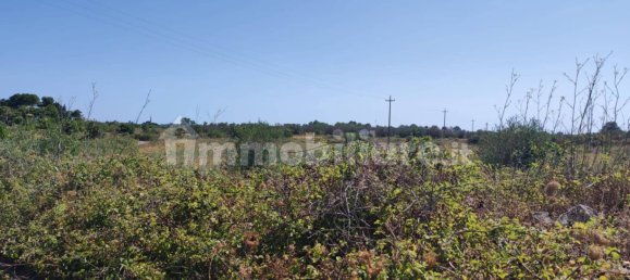 Terrain à Zollino, Italy 23517m² No. 269999 4