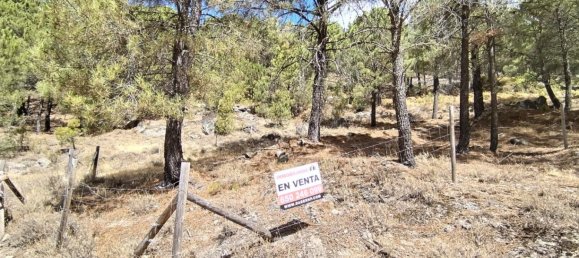 Terreno em Avila, Spain 1500 m² N.º 86207 4