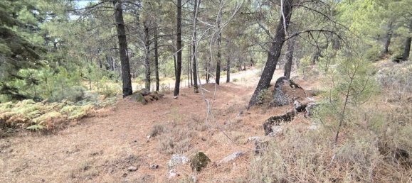 Terreno em Avila, Spain 1500 m² N.º 86207 17