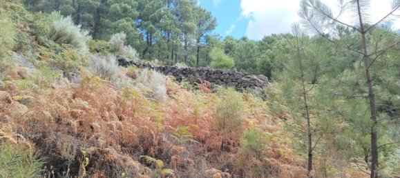 Terreno em Avila, Spain 1500 m² N.º 86207 7