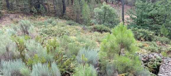 Terreno em Avila, Spain 1500 m² N.º 86207 14