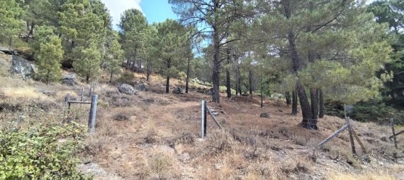 Terreno em Avila, Spain 1500 m² N.º 86207 5