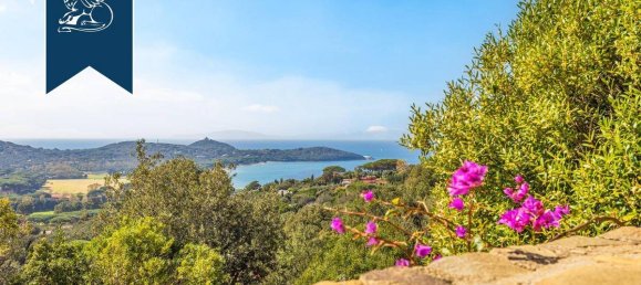 14 bedrooms Villa in Castiglione della Pescaia, Italy No. 154542 17