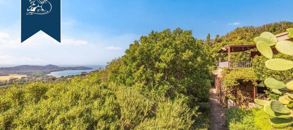 14 bedrooms Villa in Castiglione della Pescaia, Italy No. 154542 10