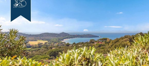 14 bedrooms Villa in Castiglione della Pescaia, Italy No. 154542 8