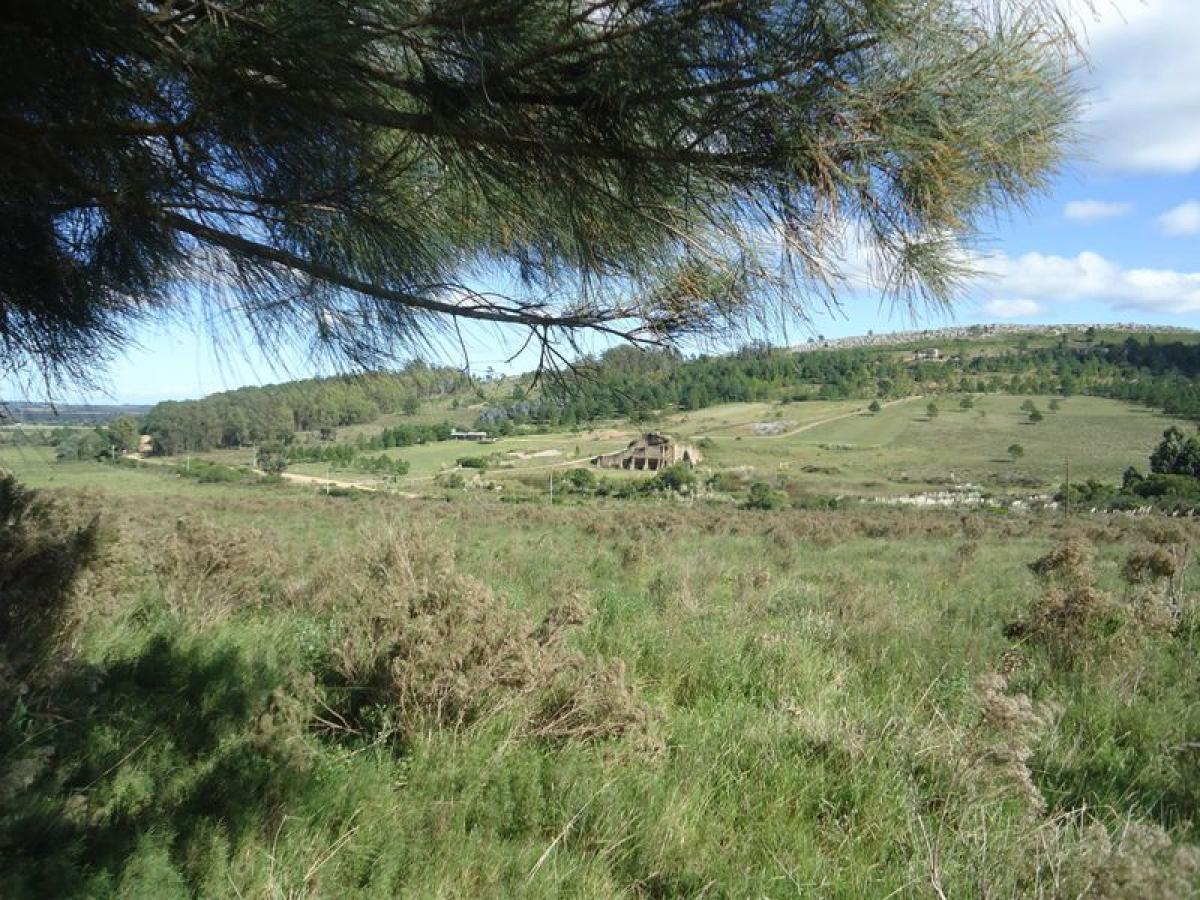  Farm in Maldonado, Uruguay No. 15650
