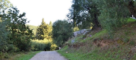 4 bedrooms Commercial property in Corfu, Greece No. 3711 22