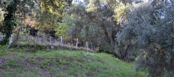 4 bedrooms Commercial property in Corfu, Greece No. 3711 12