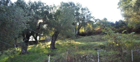 4 bedrooms Commercial property in Corfu, Greece No. 3711 13