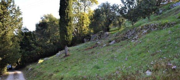 4 bedrooms Commercial property in Corfu, Greece No. 3711 20