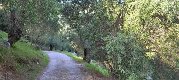 4 bedrooms Commercial property in Corfu, Greece No. 3711 21