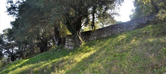 4 غرف نوم عقار تجاري في Corfu, Greece رقم 3711 15