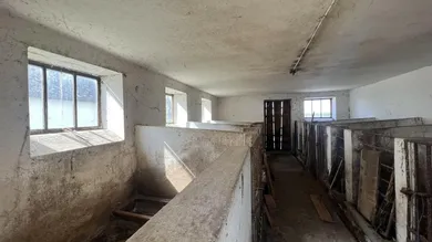 3-Zimmer Haus in Heiligenkreuz im Lafnitztal, Austria, Nr. 55367