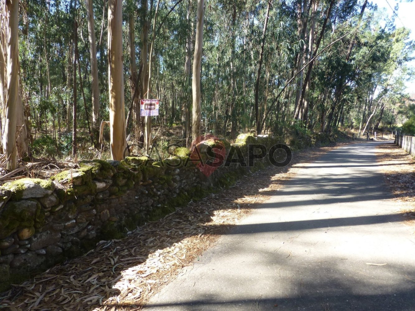  Land in Barbeita, Portugal No. 327997