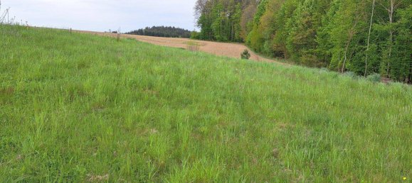  قطعة أرض في Unterkohlstatten, Austria 3222متر مربع رقم 33008 2