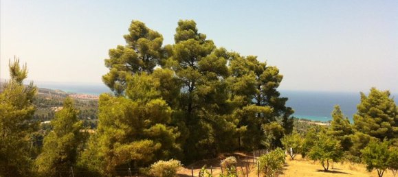 Отель, гостиница 12200м² в Халкидики, Греция № 7459 4