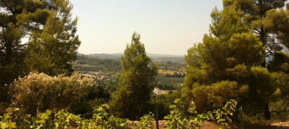 Отель, гостиница 12200м² в Халкидики, Греция № 7459 6