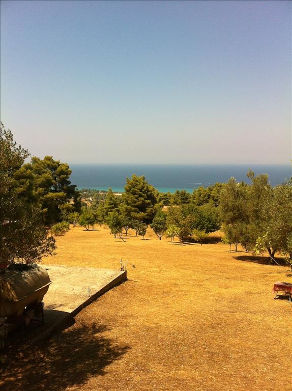 Hotel em Chalkidiki, Greece 12200 m² N.º 7459