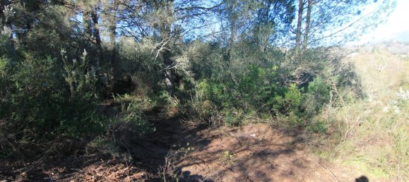  فندق في Corfu, Greece 11017متر مربع رقم 5809 5