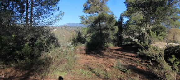  فندق في Corfu, Greece 11017متر مربع رقم 5809 4